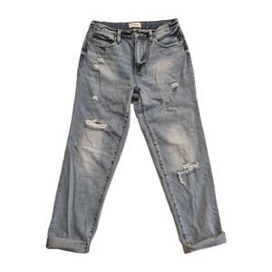 PISTOLA Presley High Rise Jeans 27 Blue Virginia Beach 90s Vintage Distressed